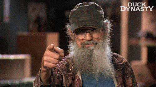 https://cdn.lowgif.com/small/ac3103a101f37301-the-21-wisest-things-si-robertson-has-ever-said-pinterest-duck.gif