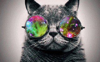https://cdn.lowgif.com/small/ac6ecb749d9d24a5-cat-galaxy-gif-find-share-on-giphy.gif