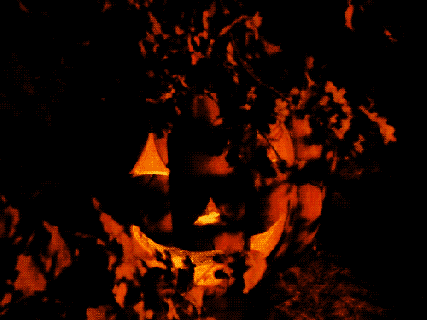 https://cdn.lowgif.com/small/acc166dae74b1946-halloween-autumn-gif-find-share-on-giphy.gif