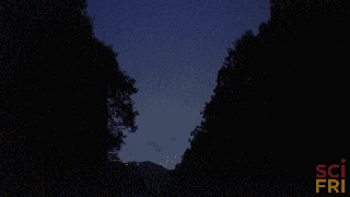 pri fireflies gif find share on giphy small