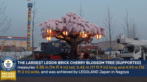 https://cdn.lowgif.com/small/ad83e003812e7c1b-a-lego-cherry-blossom-tree-springs-into-a-guinness-world-record.gif
