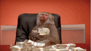 money the monkey tumblr small