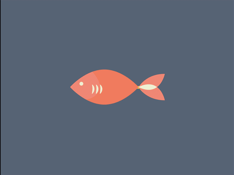 fish pinterest fish animation and motion small