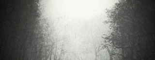 https://cdn.lowgif.com/small/af703d2d0adb9a2e-lost-in-the-grim-woods-horror-theme-for-fcpx-pixel-film-studios.gif