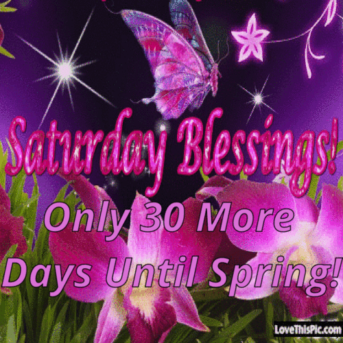 https://cdn.lowgif.com/small/b161778ab8b6b805-only-30-more-days-until-spring-quotes-pinterest-happy-saturday.gif