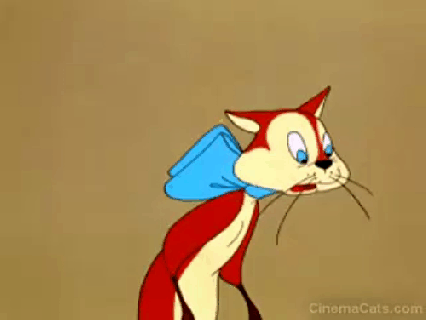 https://cdn.lowgif.com/small/b2540281a09d7487-uncategorized-archives-page-86-of-375-cinema-cats.gif