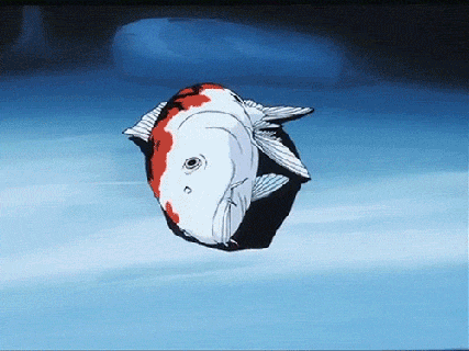 https://cdn.lowgif.com/small/b53f918d2967c88a-koi-fish-gif-find-share-on-giphy.gif
