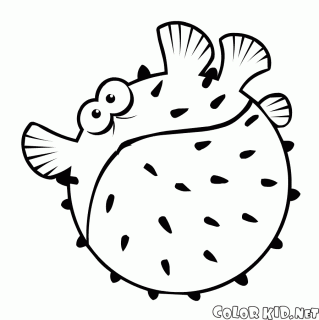 coloring page globefish small