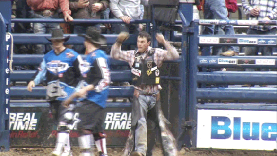 professional bull riders pbr gif find share on giphy small