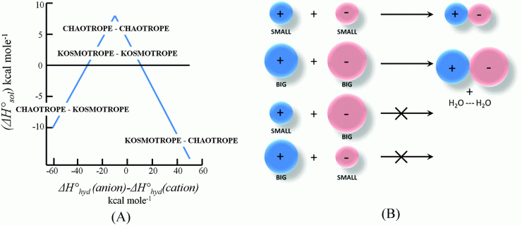 models and mechanisms of hofmeister effects in electrolyte solutions small