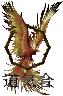 https://cdn.lowgif.com/small/c196984710806290-aikido-yoshinkan-phoenix.gif