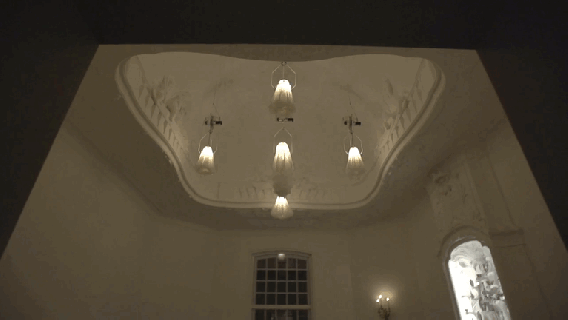 https://cdn.lowgif.com/small/c310e4d36bfbea22-hypnotizing-blooming-flower-lamps-that-dance-like.gif