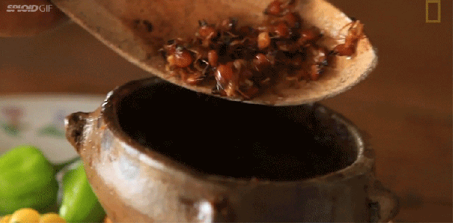 this hot sauce is made with giant ants and termites