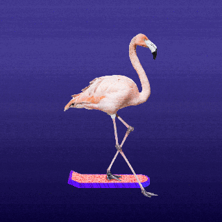 crane bird gifs get the best gif on giphy animated small