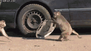 https://cdn.lowgif.com/small/c3af5785c92be198-car-stealing-gif-find-share-on-giphy.gif