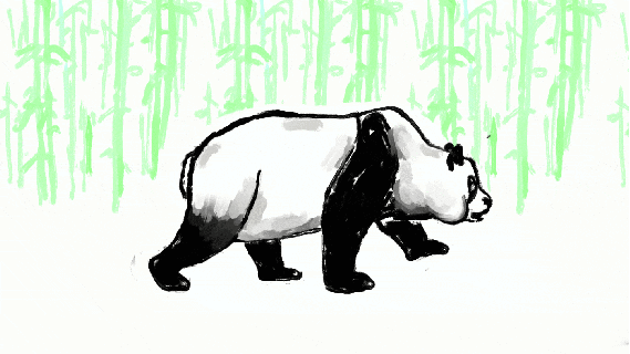 panda gifs over 100 animated images of these animals rainforest gif small