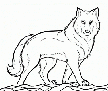 free printable wolf coloring pages for kids small