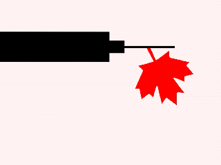 canada s vaccine rollout problems the atlantic canadian flag gif small