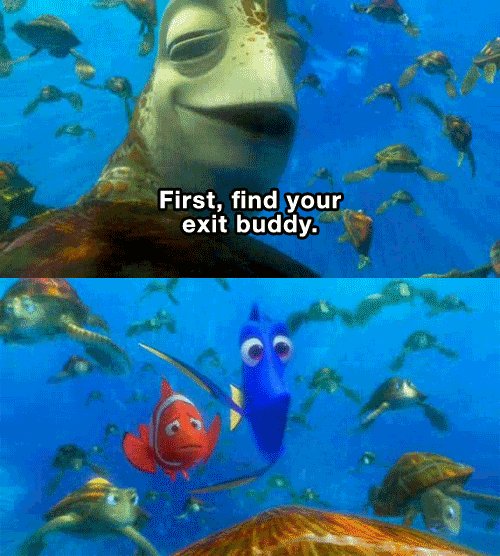 exit buddy funny pinterest finding nemo small