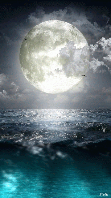 aylin serap google duvar pinterest moon beautiful moon and small