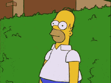 homer gifs find share on giphy small