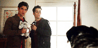 https://cdn.lowgif.com/small/c9800614e7140bbf-i-m-not-supposed-to-laugh-right-imagine-stiles-and.gif
