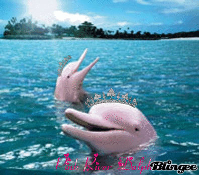 https://cdn.lowgif.com/small/c98929b5e43bc0e3-dolphin-animated-glitter-graphics-pink-river-dolphin.gif