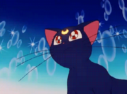 https://cdn.lowgif.com/small/c9c25f5aecc58056-sailor-moon-luna-gifs-find-share-on-giphy.gif