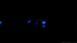 https://cdn.lowgif.com/small/cd6e60831a60e804-bioluminescent-on-tumblr.gif