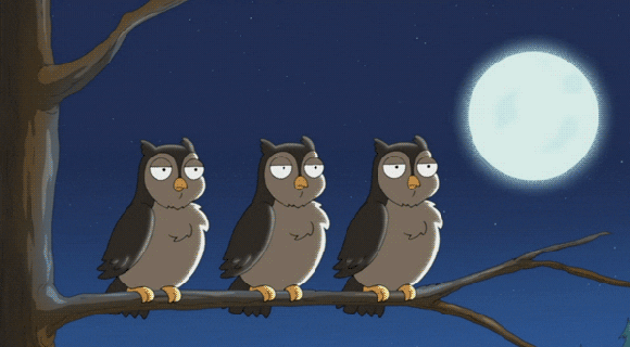 https://cdn.lowgif.com/small/ce01fbcb2e35b5c4-family-guy-owl-gif-find-share-on-giphy.gif
