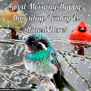 good morning happy thursday winter gif quote pictures photos and small