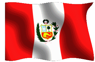https://cdn.lowgif.com/small/d058a64baf4d787c-peru-on-the-verge-of-going-to-the-world-cup-for-the-first-time-in-35.gif