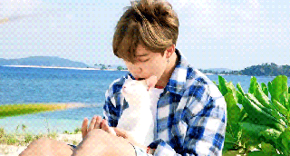 jimin and cat me being afraid of animals army s amino small