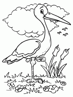 coloring pages birds animated images gifs pictures small