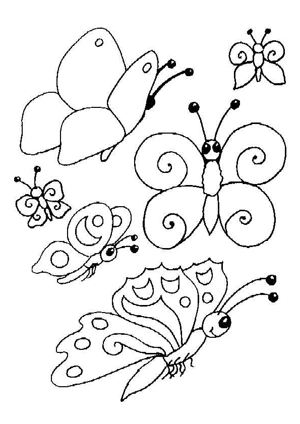 des diff rentes sortes de papillons dans un dessin colorier small