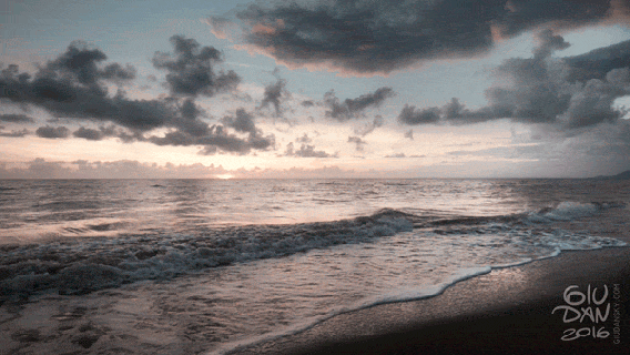 video beach gif find share on giphy small