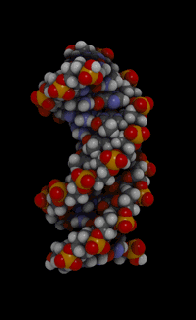 https://cdn.lowgif.com/small/d42f59d94e6add98-egfi-for-teachers-lesson-extract-dna-from-a-banana.gif