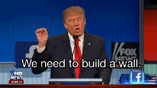 a donald trump america trump builds the wall it is what it is small