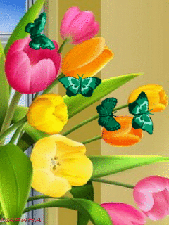 240x320 gif s spring pinterest ely flower power and flowers small