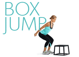 box jump eat fit fuel small