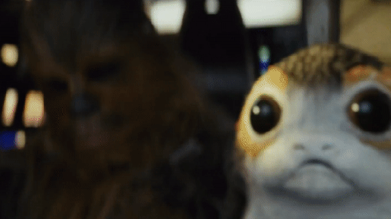 https://cdn.lowgif.com/small/d569b504909b66c2-the-screaming-porg-from-last-jedi-trailer-was-made-to-look-like.gif