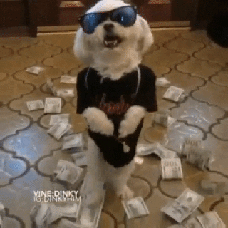 https://cdn.lowgif.com/small/d61d037aeacec5af-dog-money-gif-find-share-on-giphy.gif