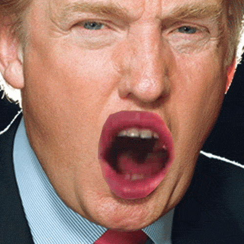 16 donald trump gifs you cannot unsee gif happy bday thankyou add small