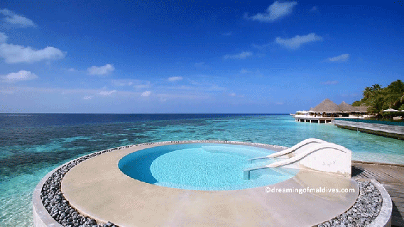 https://cdn.lowgif.com/small/d84a724a22c8c097-dream-pool-in-paradise-a-maldives-gif.gif