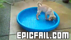 fail pictures pool gif shared by mazukazahn on gifer small