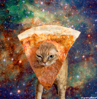 group of space pizza cat via small
