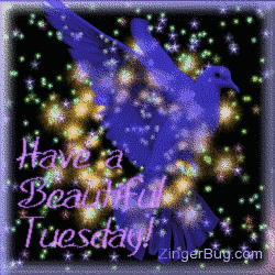 happy tuesday glitter graphics comments gifs memes and greetings small
