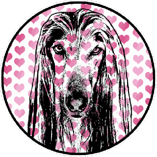 https://cdn.lowgif.com/small/dc3cf3fd5ae36a4a-say-woof-pet-photography-fused-with-graphic-arts-valentine-s-day.gif
