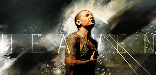 chester gif find share on giphy small