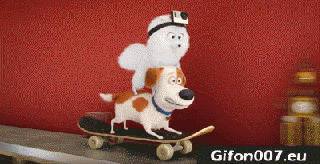 gif 116 cat gif skateboarding dog biscuit gifon007 eu small